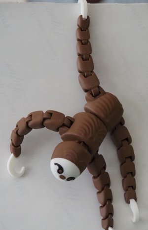sloth